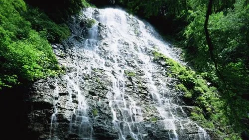 节能科技自动化