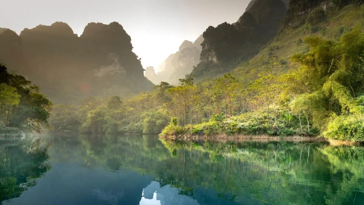 高端高性能